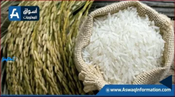 سعر الأرز.. تعرف على سعر طن الشعير اليوم الأربعاء في السوق المحلية